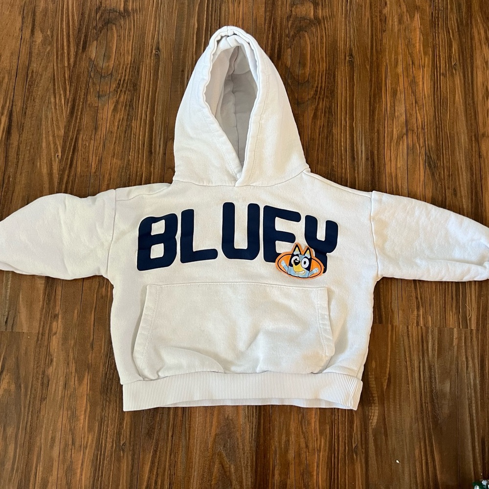 Super Cool Zara Bluey Hoodie Size 4 Years (Fits like 2T)